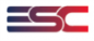 Emerging Search Consultants logo